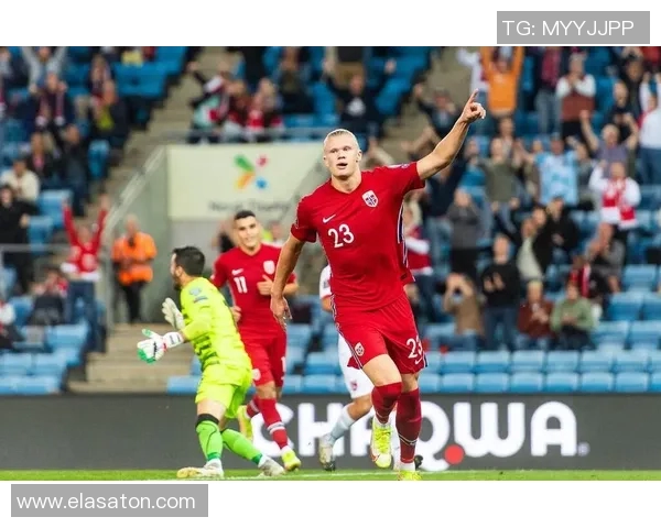 今年国家队战绩揭秘澳大利亚挪威全胜英格兰表现不俗 今年国家队战绩揭秘澳大利亚挪威全胜英格兰表现不俗