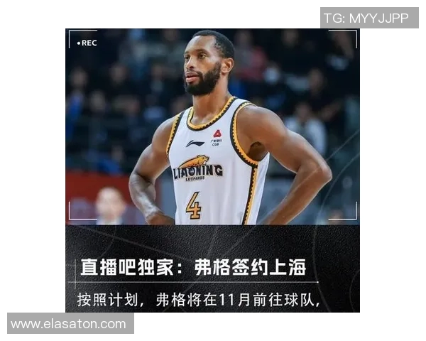 NBL内线球员离队传闻四川男篮或迎新外援加盟