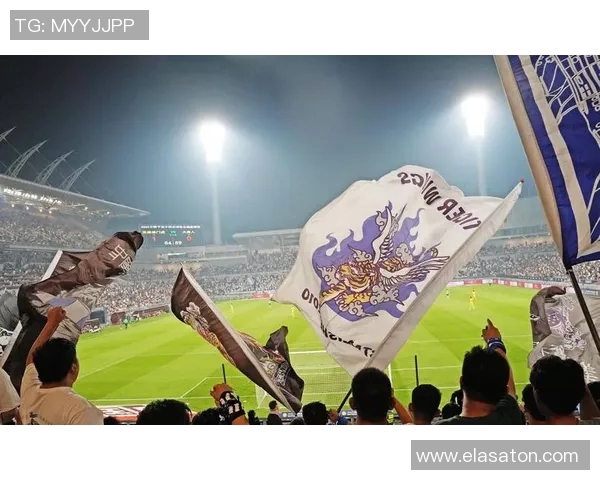 安芬尼赞绿军主场球迷热情享受在这座球馆的比赛氛围 安芬尼赞绿军主场球迷热情享受在这座球馆的比赛氛围