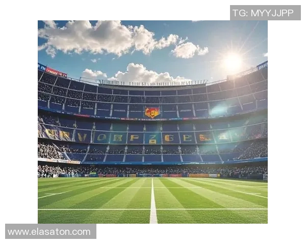 欧足联公布2028和2029年欧战决赛候选场馆包括安联竞技场和诺坎普